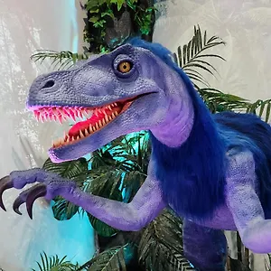 Henn Na Hakata Giappone